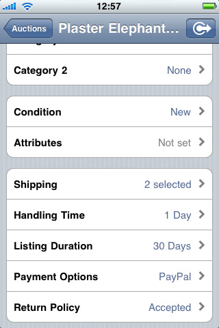 ...more Auction Settings